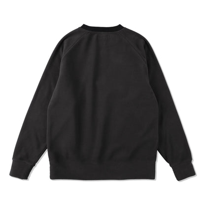 WDS-ES POLARTECH FLEECE RAGLAN CREW NECK